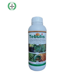 FutureCrops - Fongicide - TEBULIS 430 SC - ARZAK - MAROC