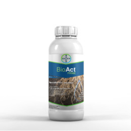 FutureCrops - Nématicides - BIOACT® PRIME - BAYER - MAROC