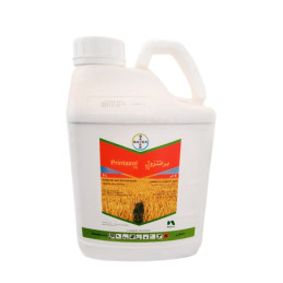 FutureCrops - Herbicide - PRINTAZOL® - BAYER - MAROC
