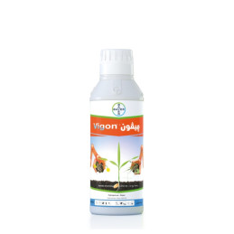 FutureCrops - Herbicide - VIGON® - BAYER - MAROC