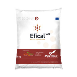 FutureCrops - Correcteur de Carence - EficalWSP - AFROSEEDS - MAROC