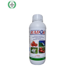 FutureCrops - Insecticide - RADOR - ARZAK - MAROC