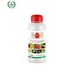 FutureCrops - Insecticide - GAD - ARZAK - MAROC