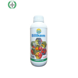 FutureCrops - Nutrition végétale - SILIKEM - ARZAK - MAROC