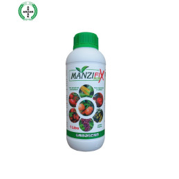 FutureCrops - Nutrition végétale - MANZIFIX PLUS - ARZAK - MAROC