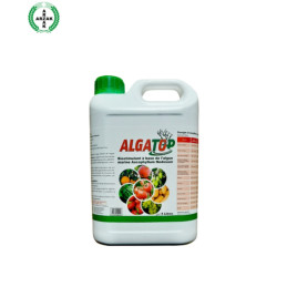 FutureCrops - Nutrition végétale - ALGATOP - ARZAK - MAROC