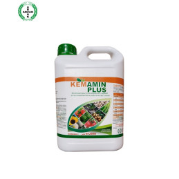 FutureCrops - Nutrition végétale - KEMAMIN PLUS - ARZAK - MAROC