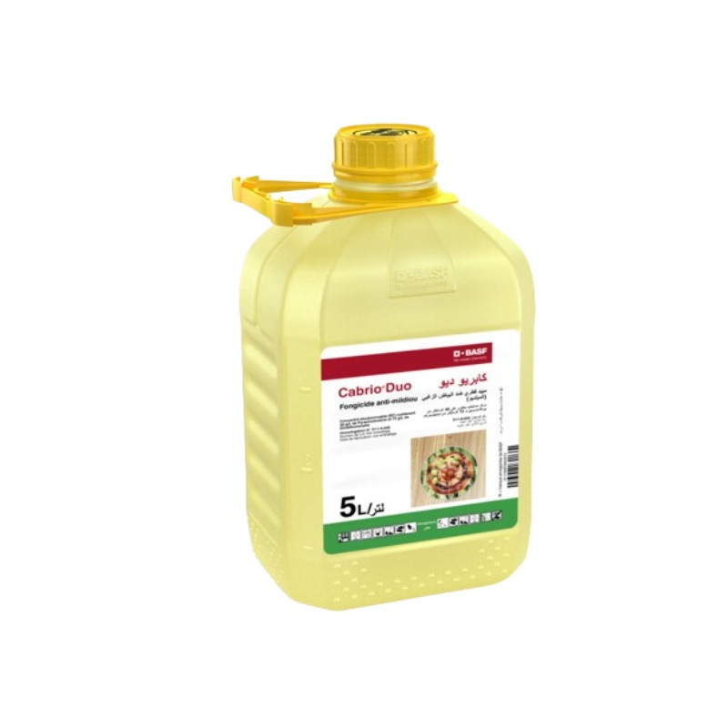 FutureCrops - Fongicide - CABRIO® DUO - BASF - MAROC