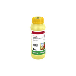 FutureCrops - Fongicide - ORVEGO® - BASF - MAROC