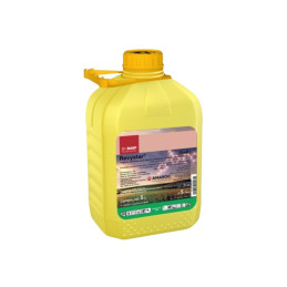 FutureCrops - Fongicide - REVYSTAR - BASF - MAROC