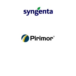 FutureCrops - Insecticide - Pirimor® 50 DG - SYNGENTA - MAROC
