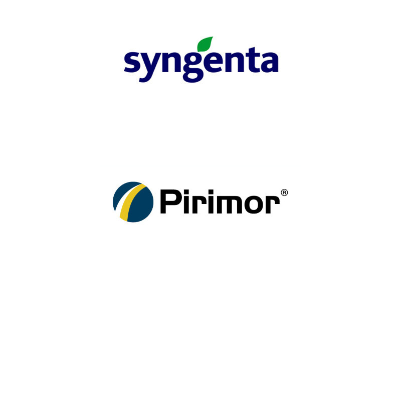 FutureCrops - Insecticide - Pirimor® 50 DG - SYNGENTA - MAROC