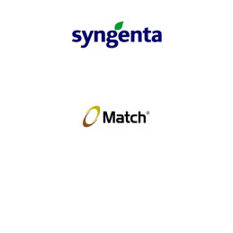 FutureCrops - Insecticide - Match ® 050 EC - SYNGENTA - MAROC