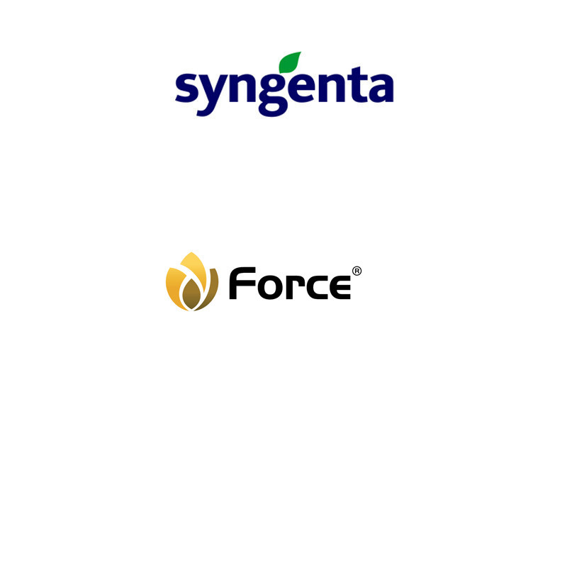 FutureCrops - Insecticide - Force® 0.5G - SYNGENTA - MAROC