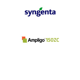 FutureCrops - Insecticide - Ampligo® 150 ZC - SYNGENTA - MAROC