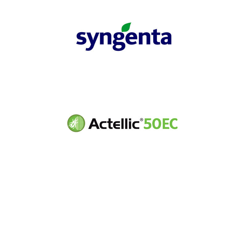 FutureCrops - Insecticide - Actellic® 50 EC - SYNGENTA - MAROC