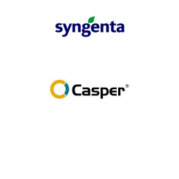 FutureCrops - Herbicide - Casper - SYNGENTA - MAROC