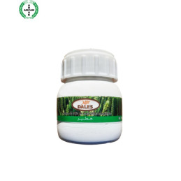 FutureCrops - Herbicide - DALES - ARZAK - MAROC