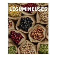 Légumineuses